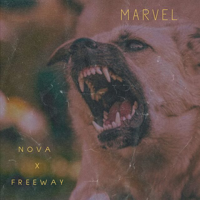 Marvel single cover: a snarling dog